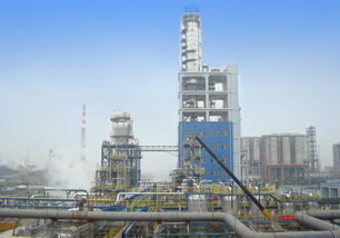 引領未來 鎮海煉化百萬噸乙烯項目聚乙烯裝置的技術革新與產業價值